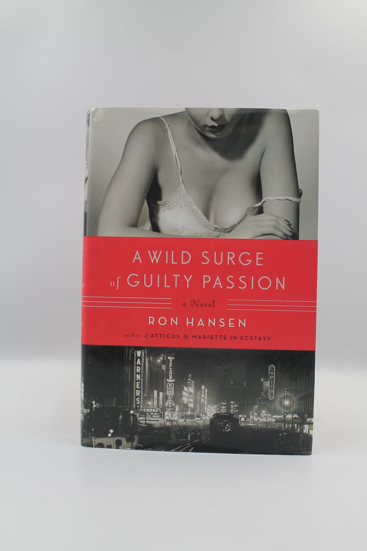 A Wild Surge of Guilty Passion: A Novel