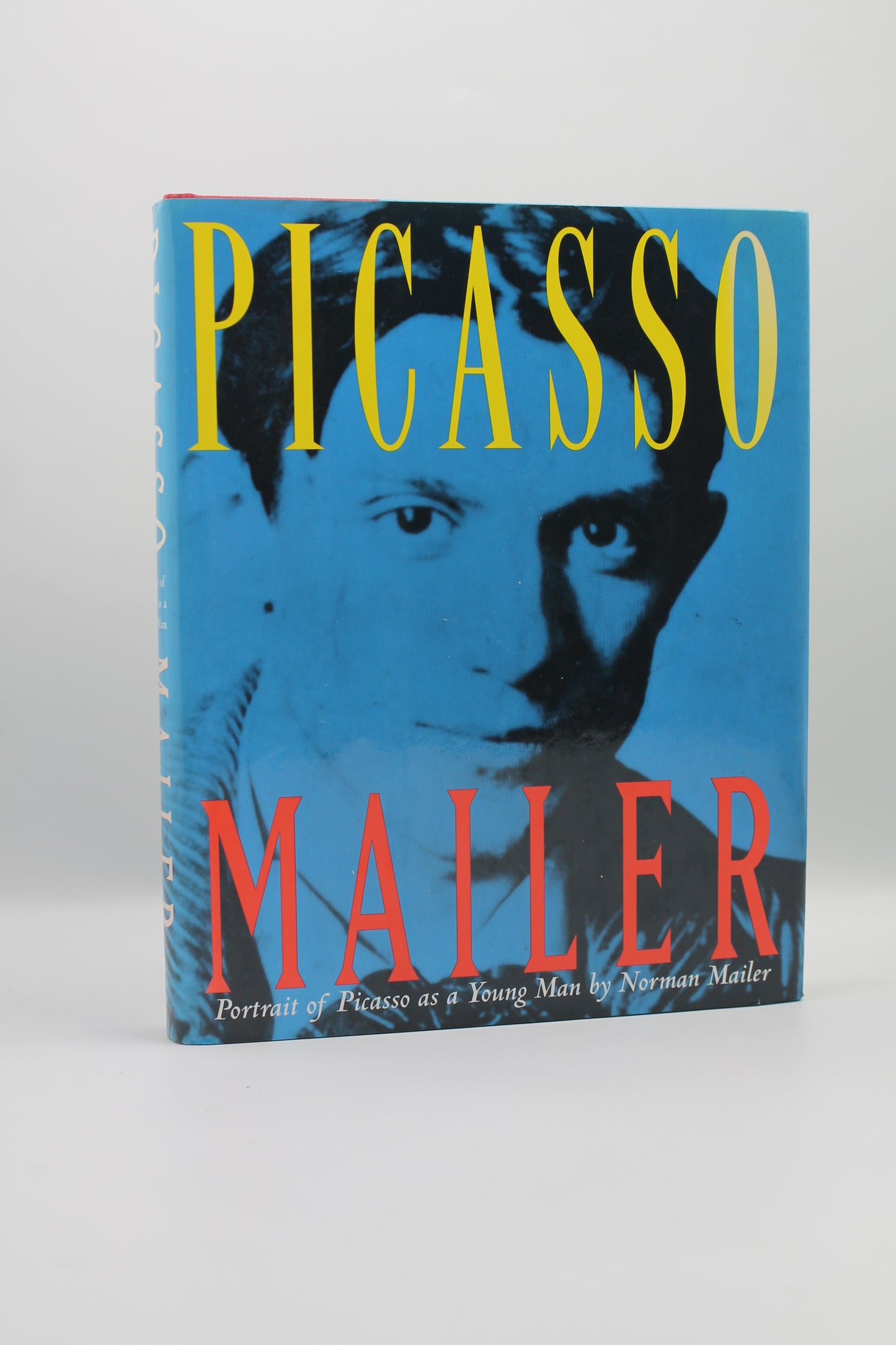 Portrait of Picasso as a Young Man: An Interpretive Biography