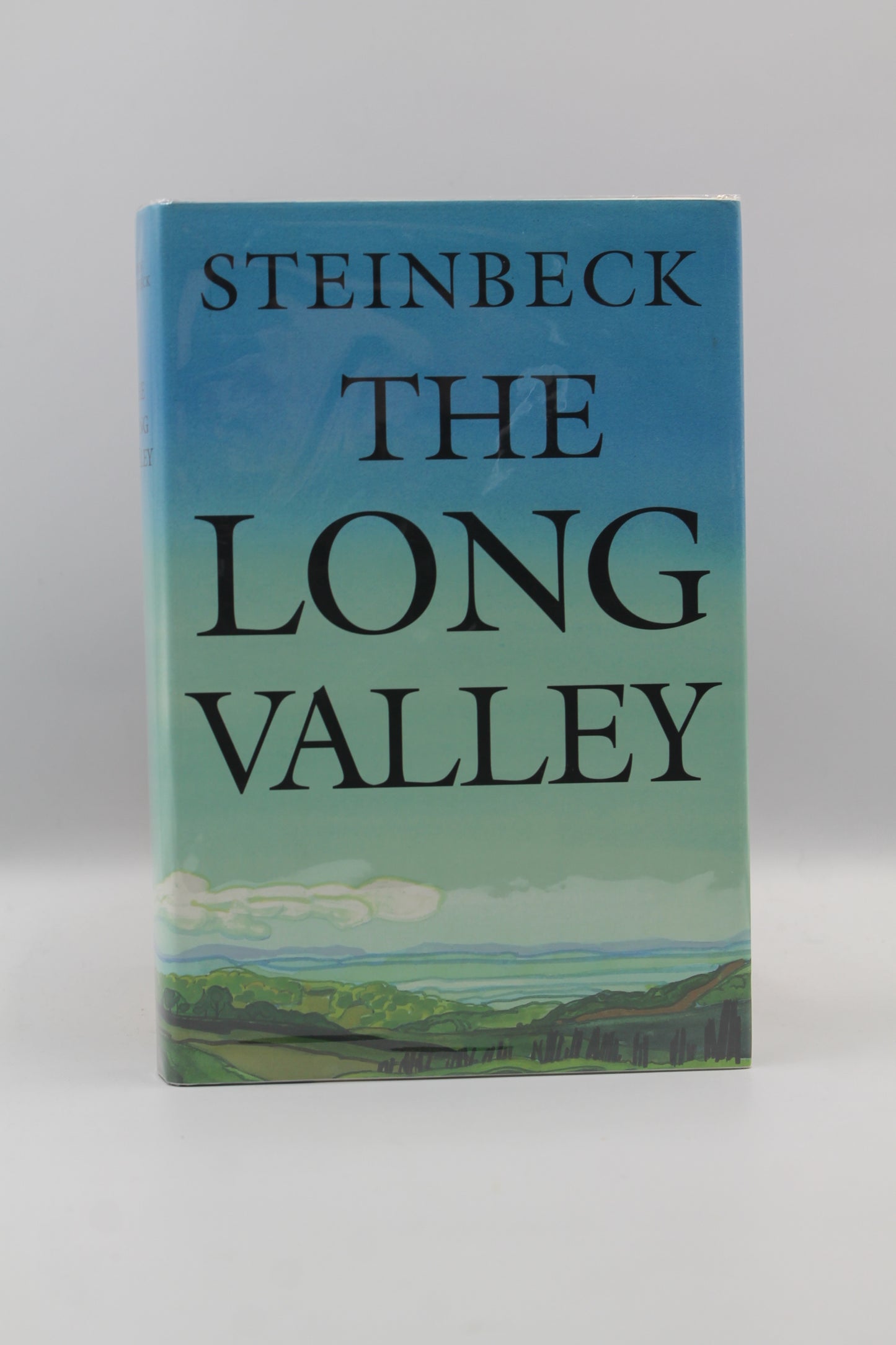 The Long Valley