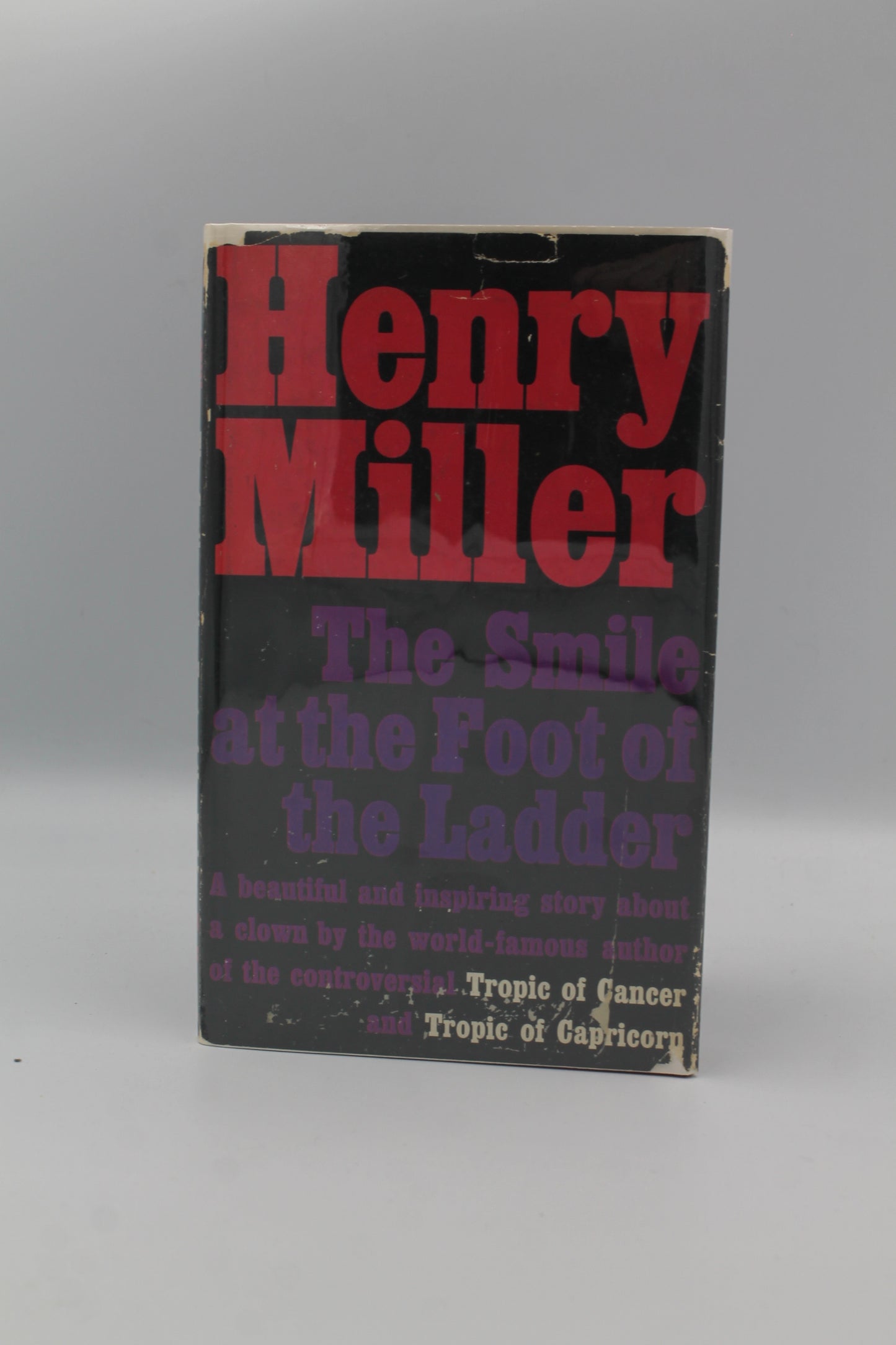 The Smile at the Foot of the Ladder