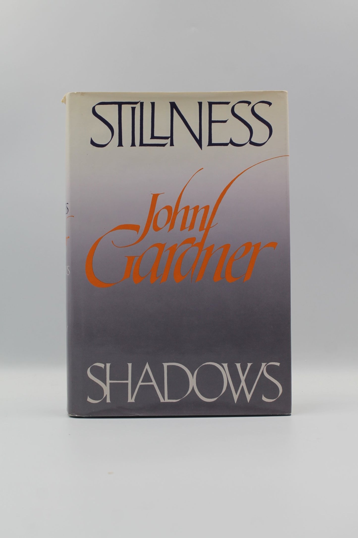 Stillness and Shadows