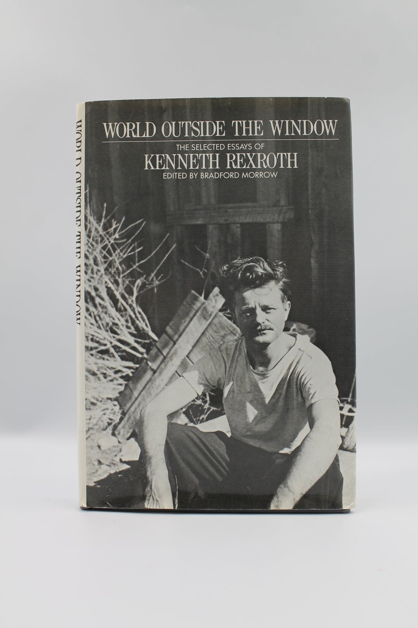 World Outside the Window