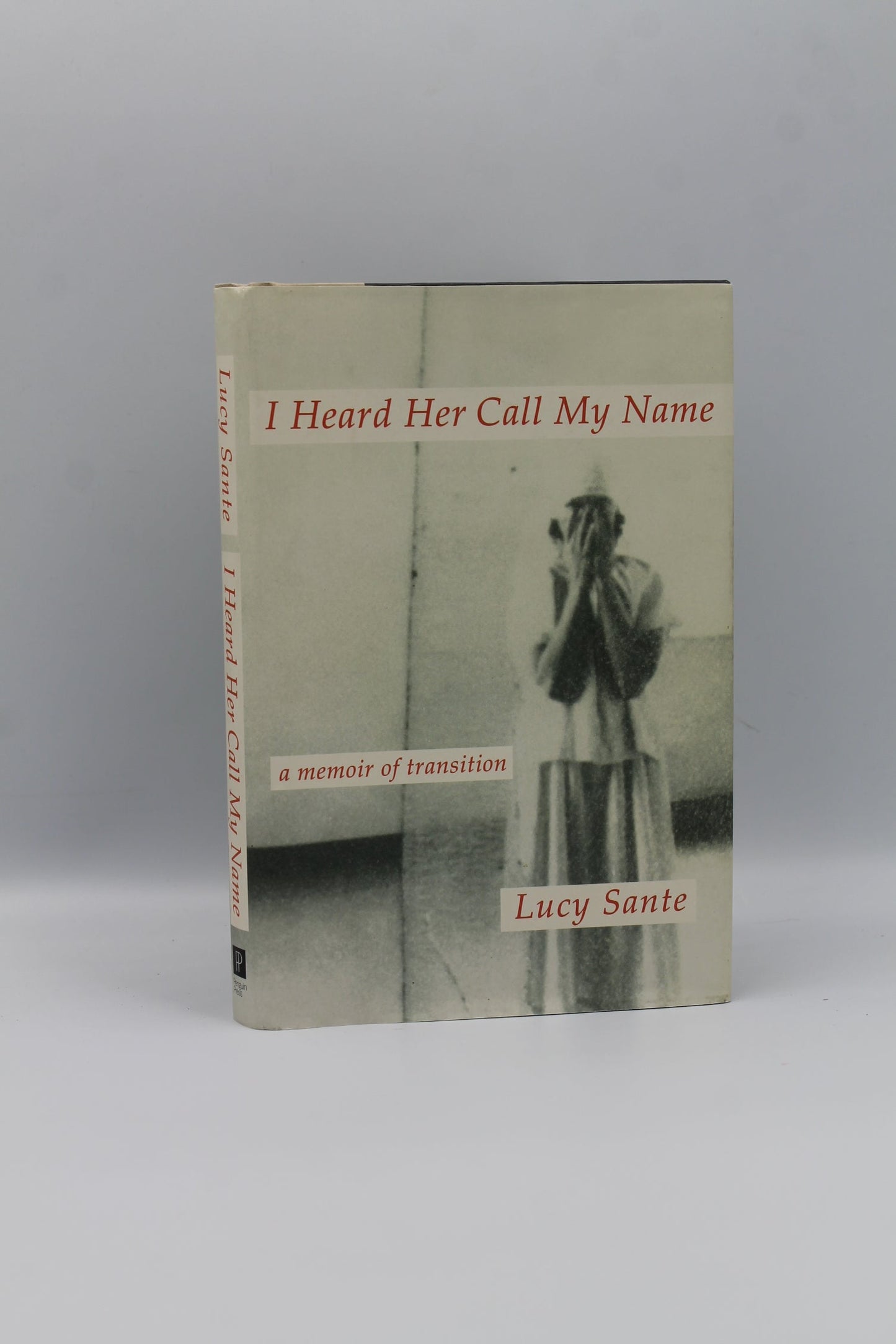 I Heard Her Call My Name: a memoir of transition