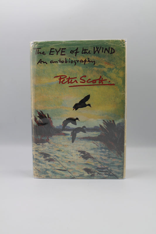 The Eye of the Wind