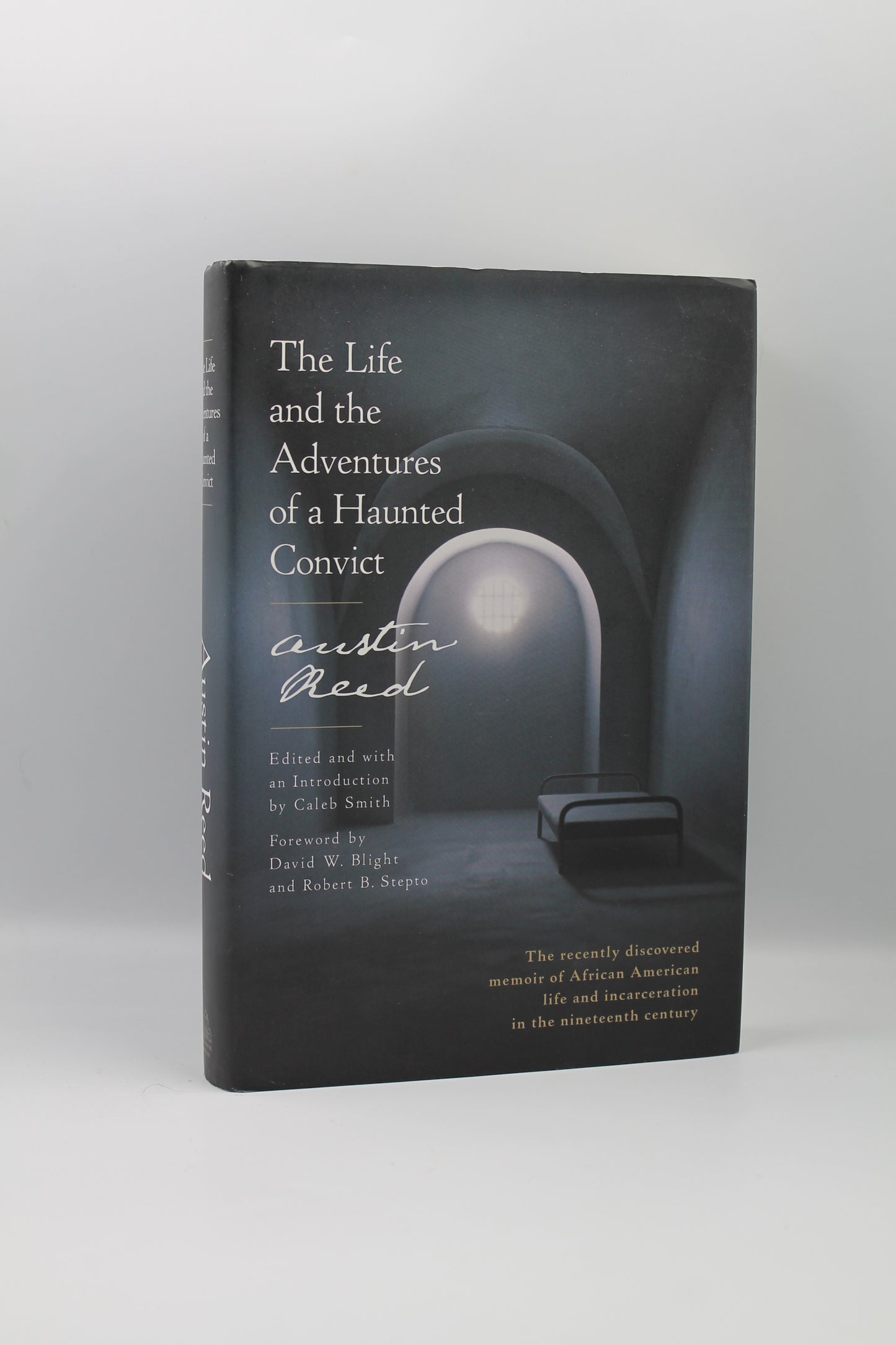 The Life and the Adventures of a Haunted Convict