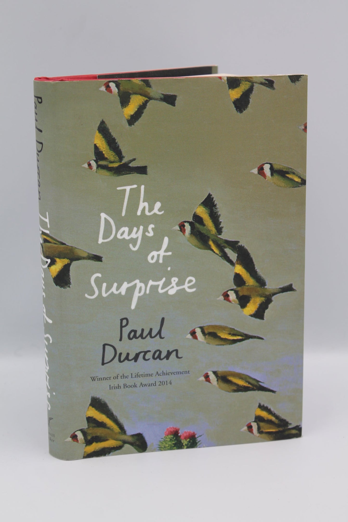 The Days of Surprise