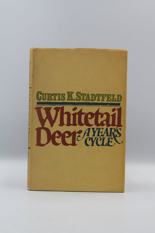Whitetail Deer