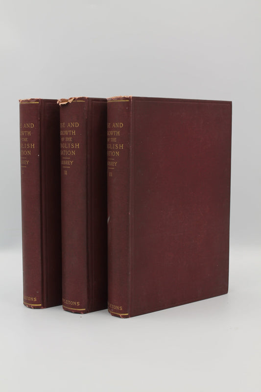 Rise and Growth of the English Nation: A History of and for the People in Three Volumes