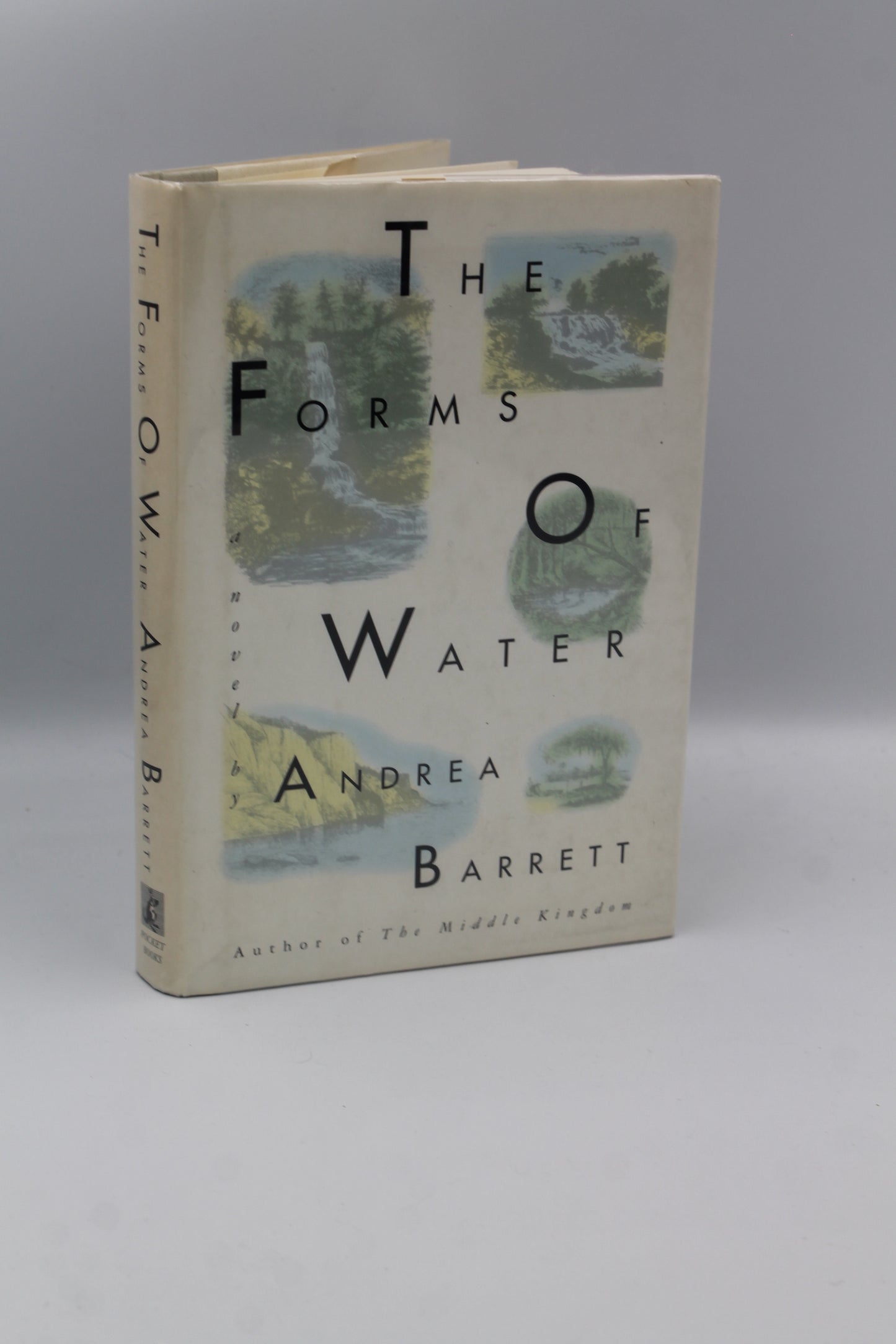 The Forms of Water