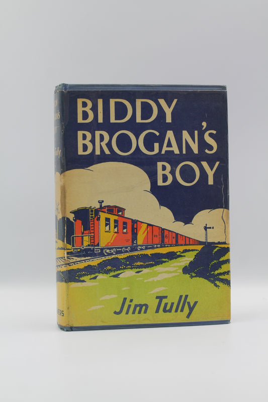 Biddy Brogan's Boy