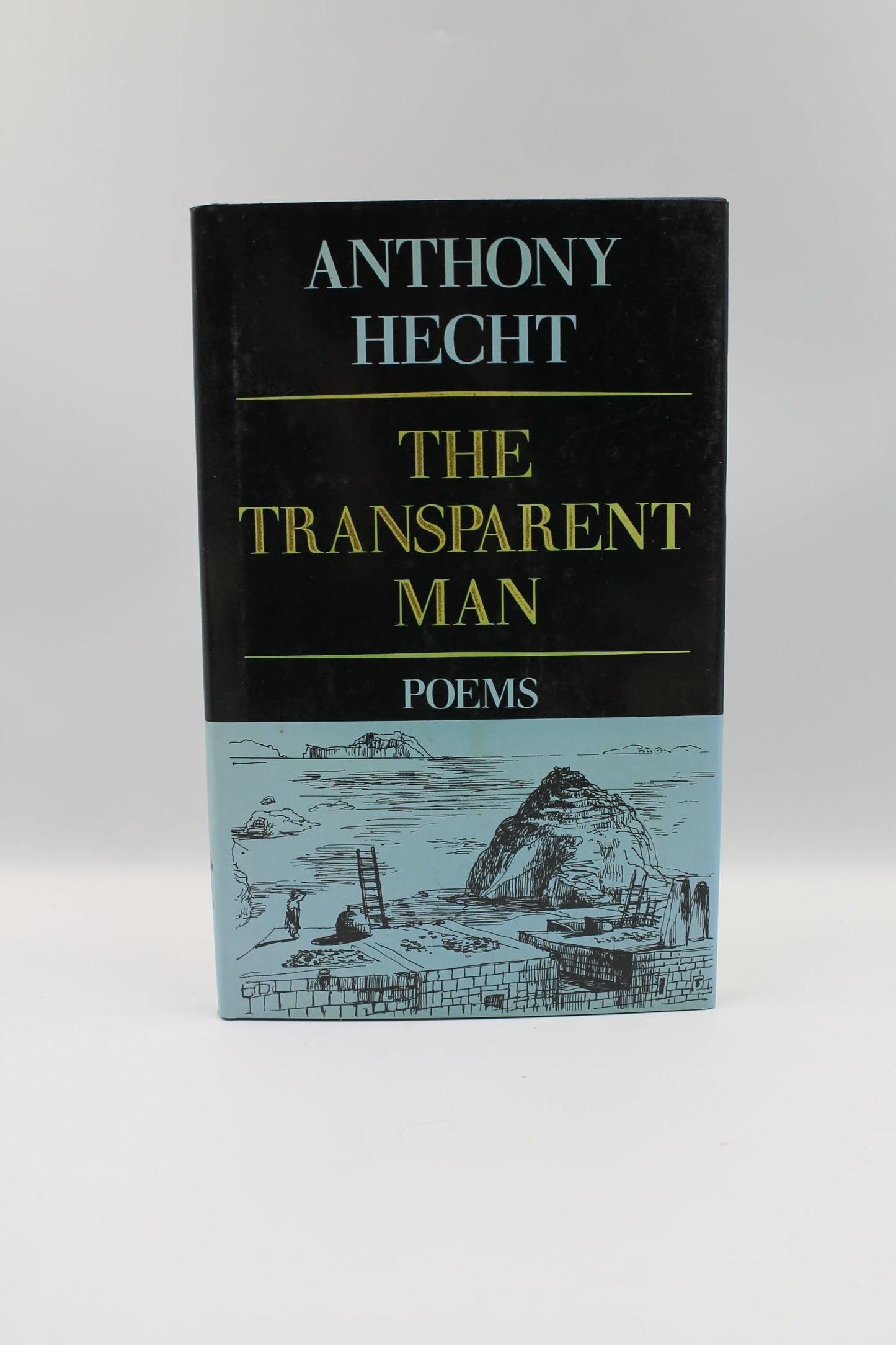 The Transparent Man