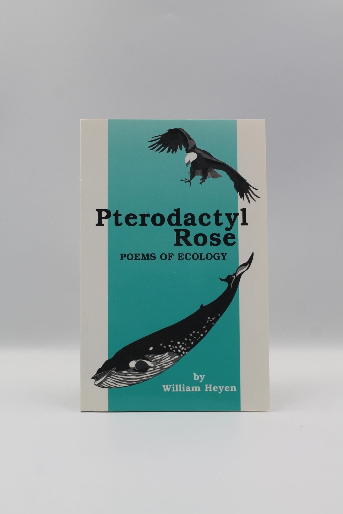 Pterodactyl Rose