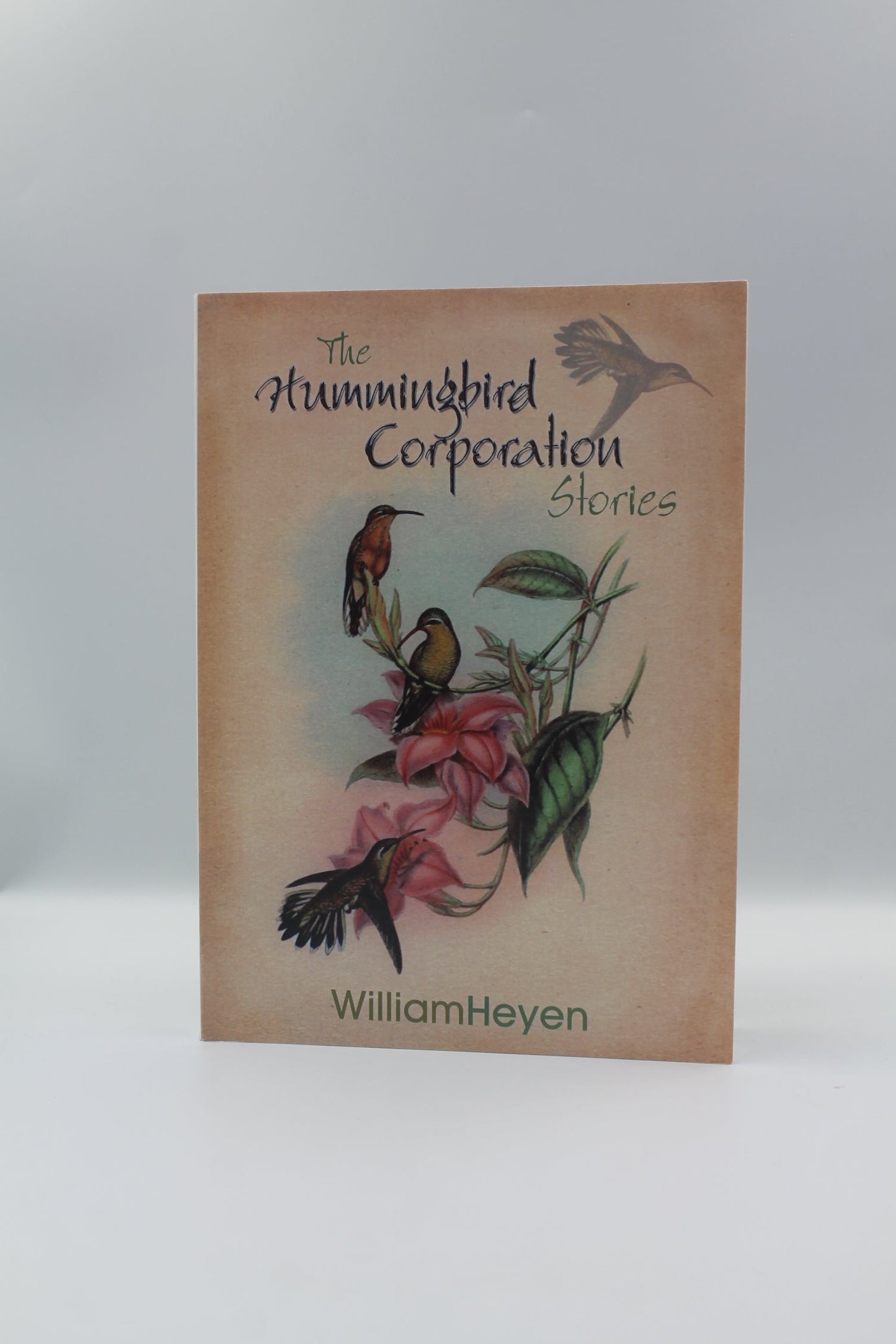 The Hummingbird Corporation Stories