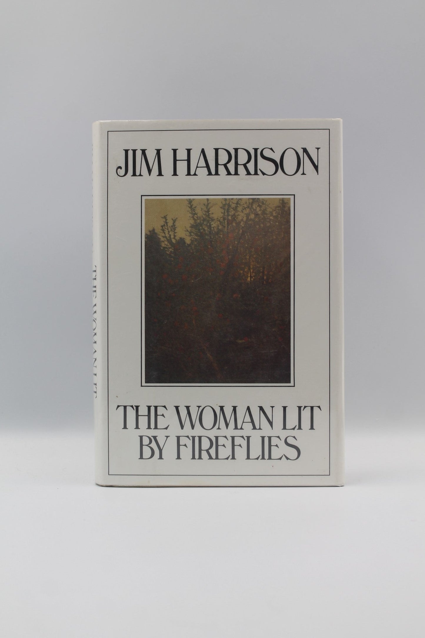 The Woman Lit by Fireflies