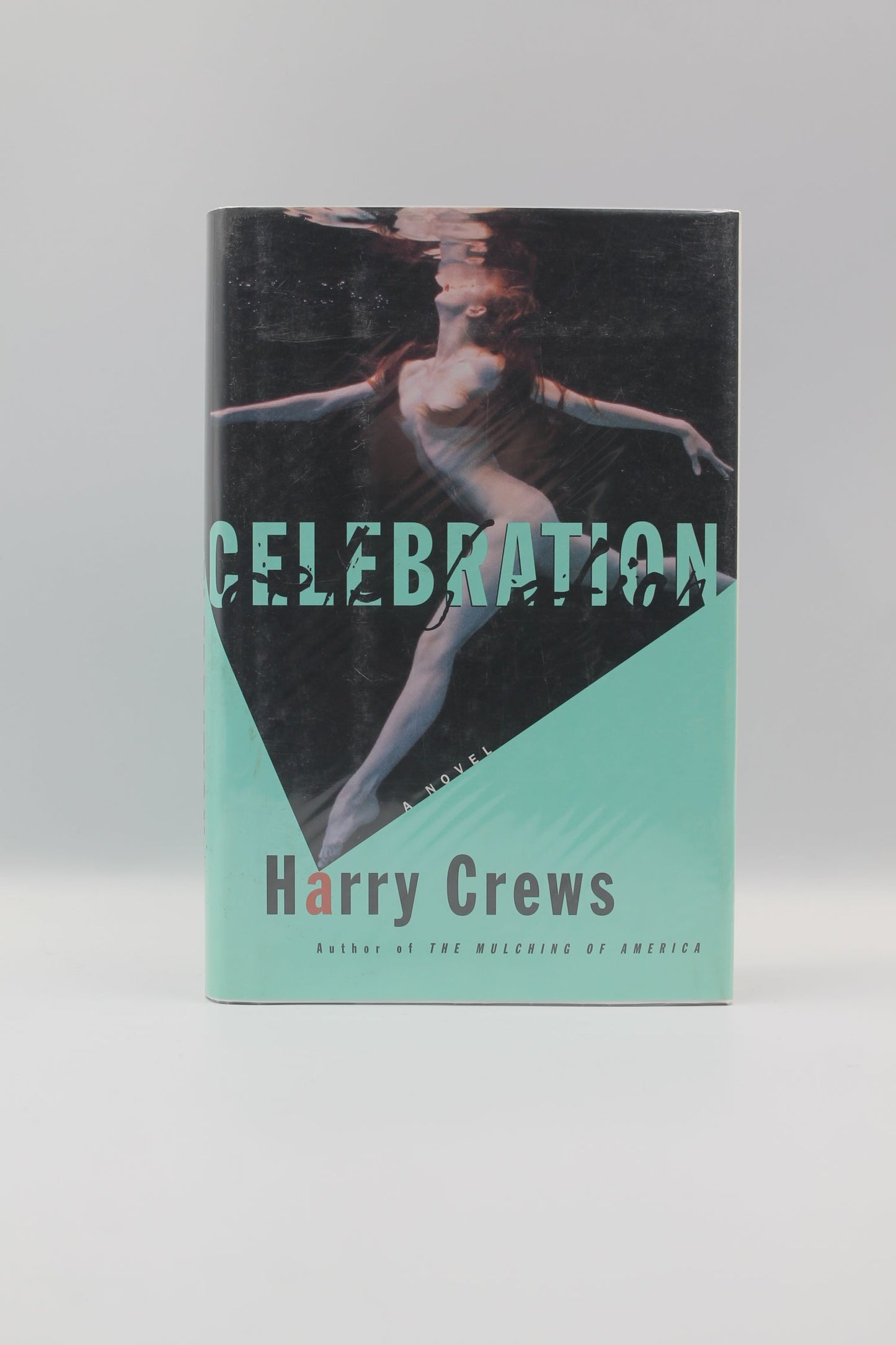 Celebration