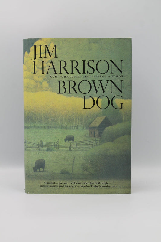 Brown Dog