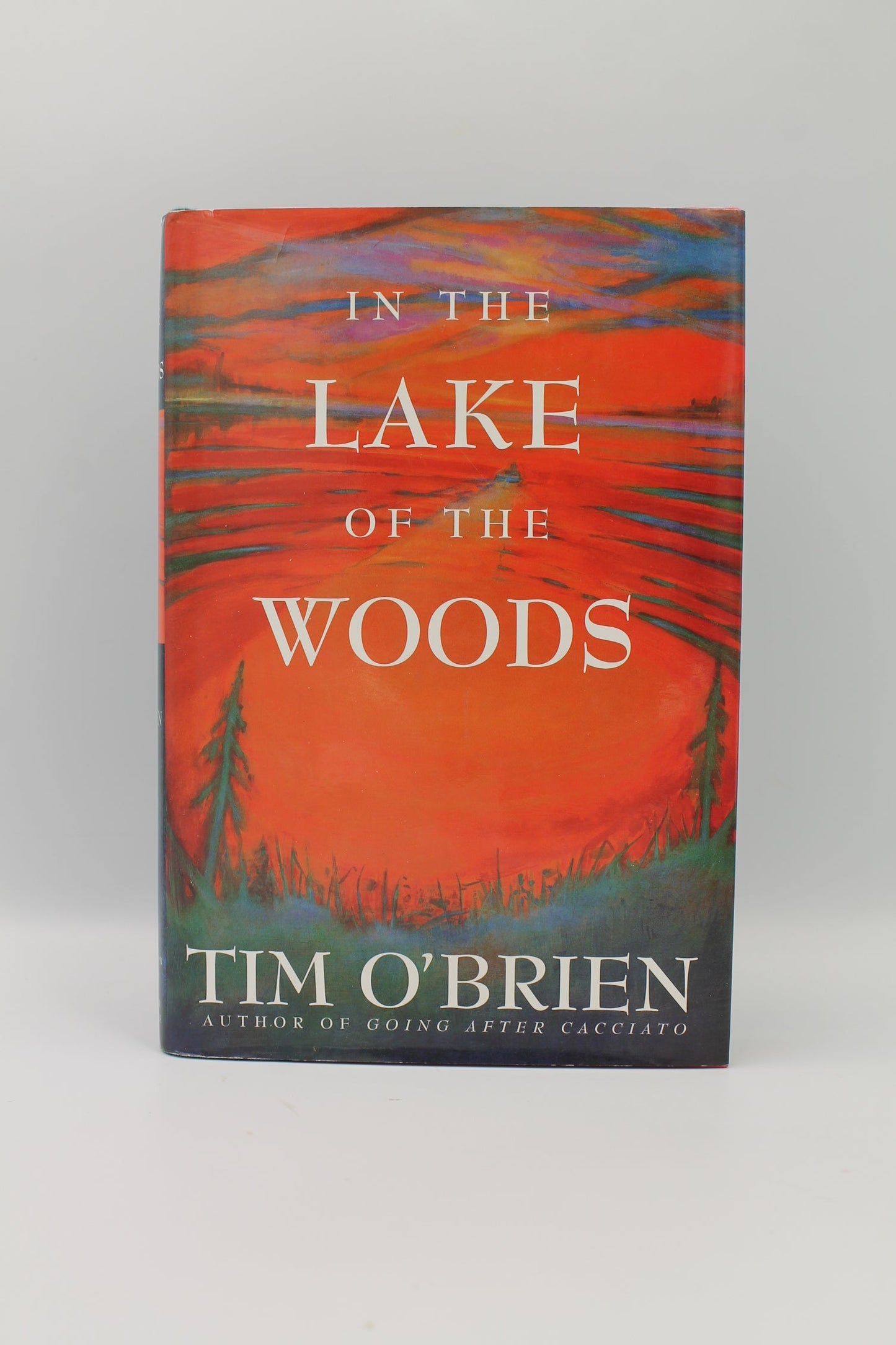 In the Lake of the Woods