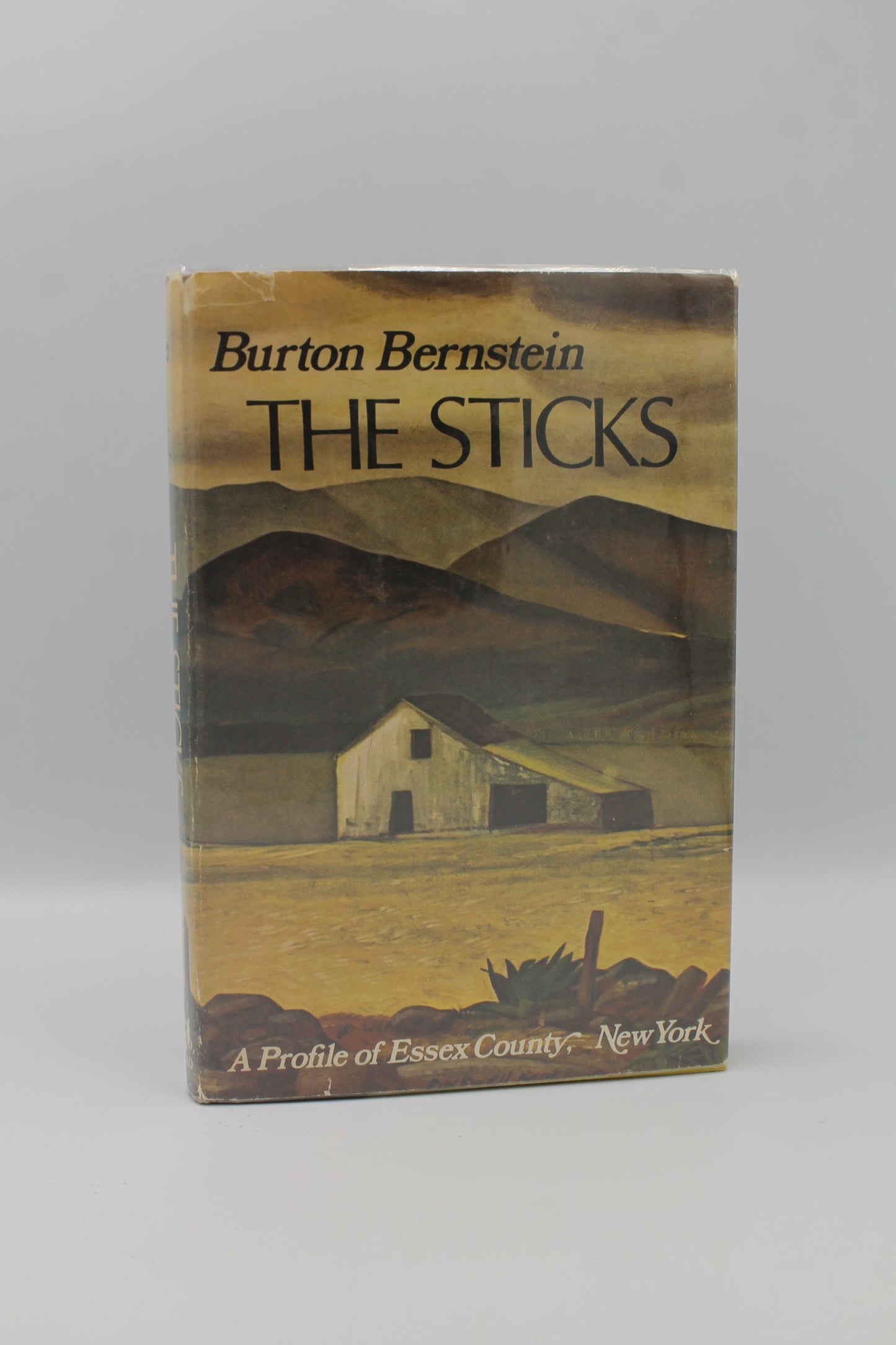 The Sticks: A Profile of Essex County, New York
