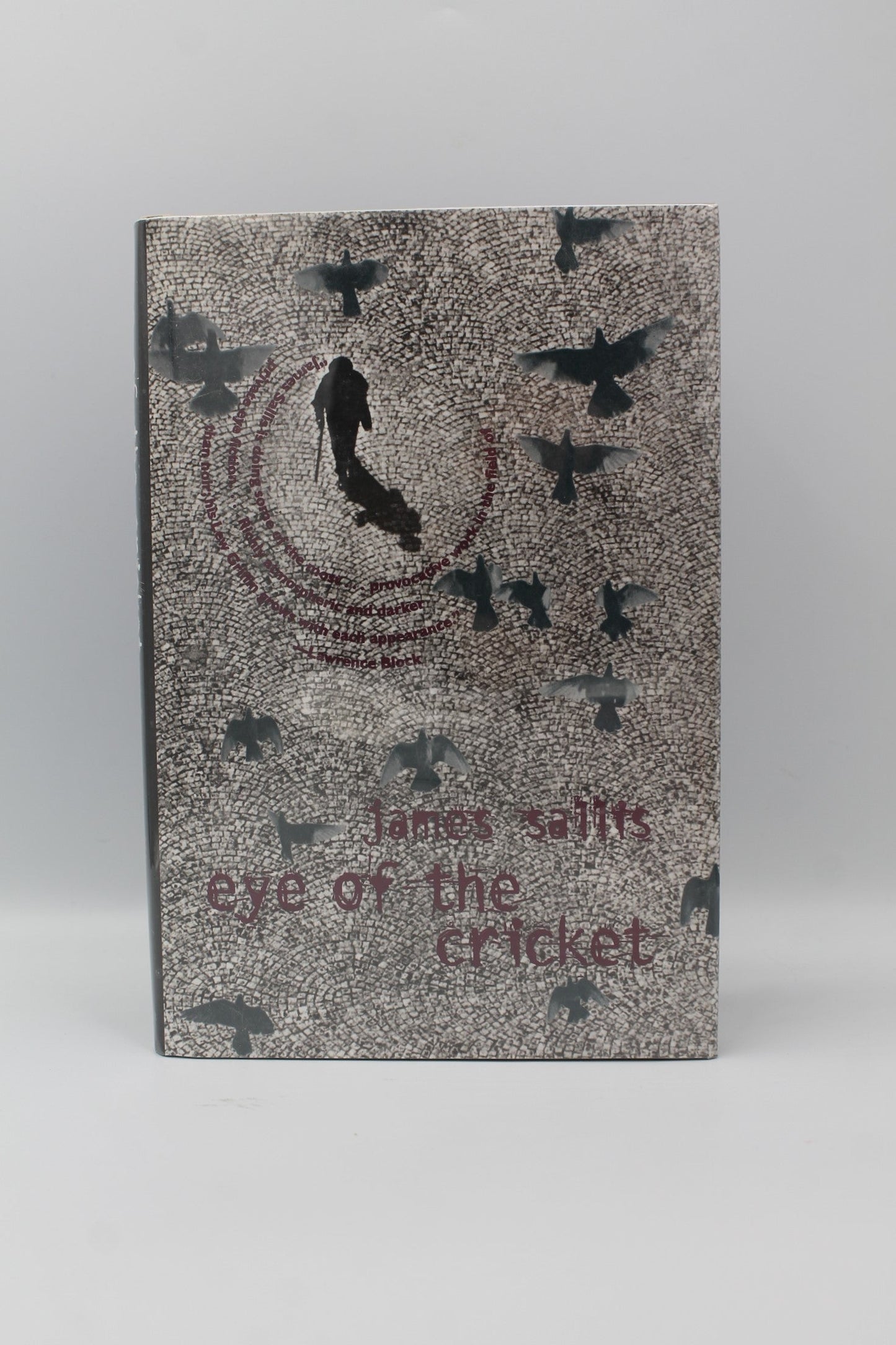Eye of the Cricket