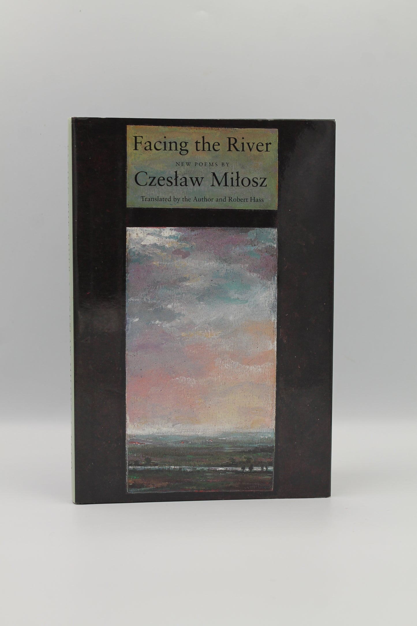 Facing the River: New Poems