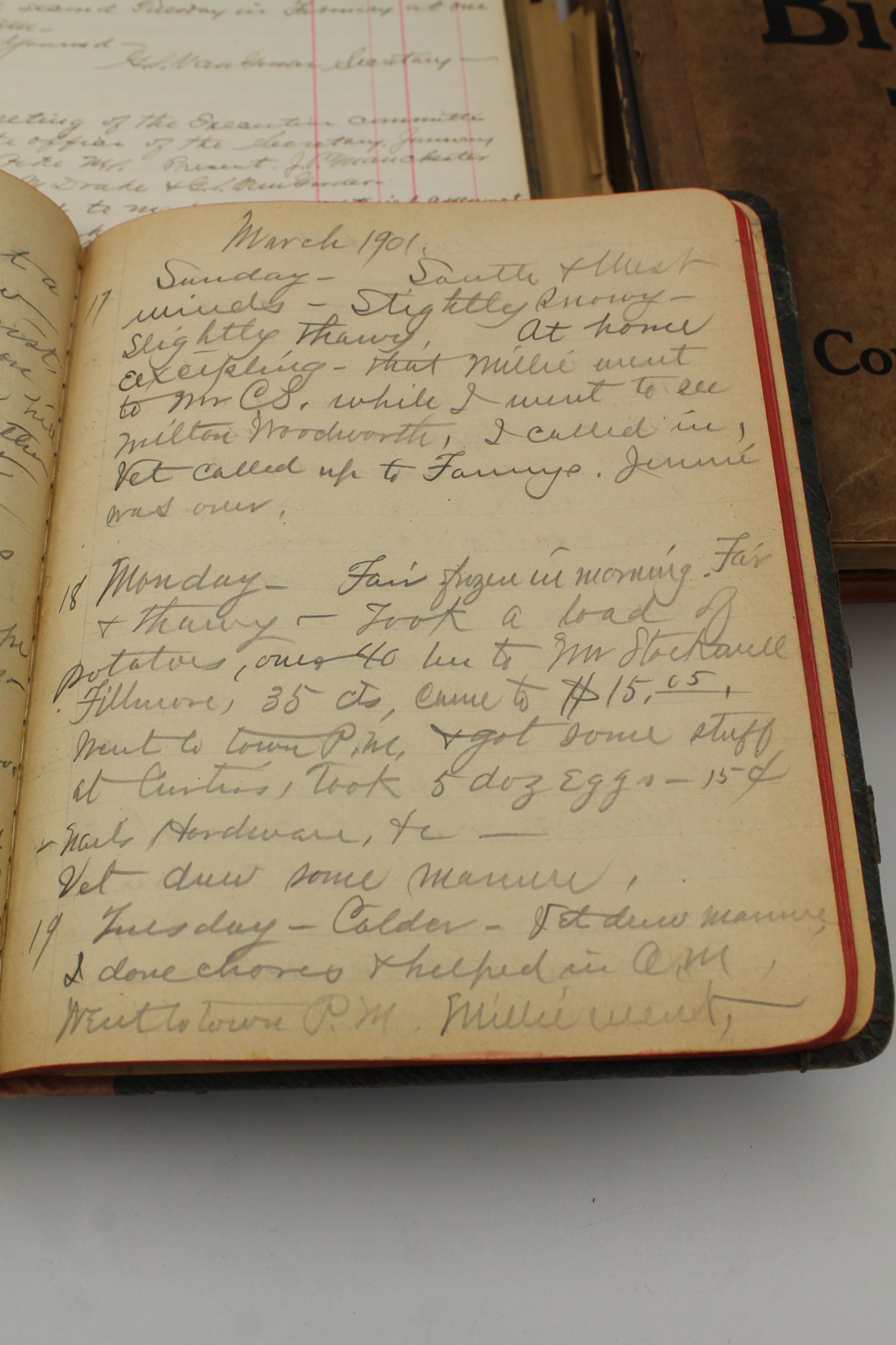 Wyoming County, NY farmer's diary 1890 - 1930